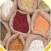 see grain processing