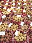 see the potato processing 